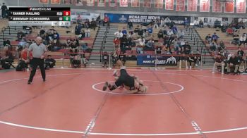 133 lbs 1st Place Match - Tanner Halling, Frostburg State vs Jeremiah Echevarria, Gannon