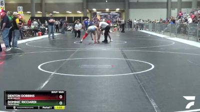 175 lbs Semifinal - Dominic Ricciardi, Frontenac vs Denton Dobbins, Blue Valley