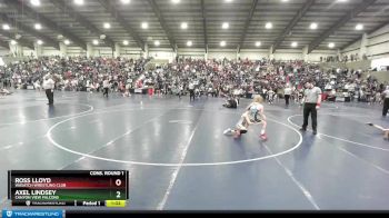 80 lbs Cons. Round 1 - Axel Lindsey, Canyon View Falcons vs Ross Lloyd, Wasatch Wrestling Club