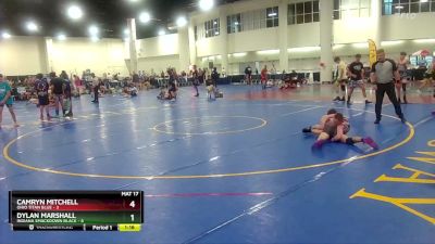 120 lbs Round 3 (6 Team) - Camryn Mitchell, Ohio Titan Blue vs Dylan Marshall, Indiana Smackdown Black