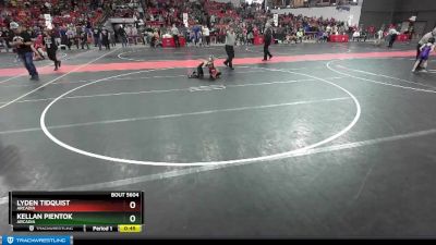 48 lbs Cons. Semi - Lyden Tidquist, Arcadia vs Kellan Pientok, Arcadia