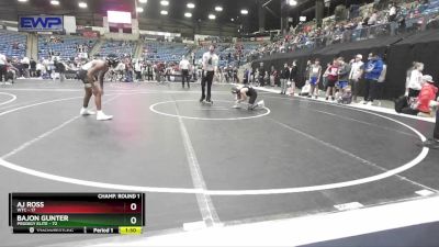 96 lbs Champ. Round 1 - Aj Ross, WTC vs BaJon Gunter, Prodigy Elite