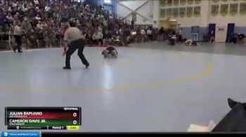 113 lbs Semifinal - Julian Rapuano, Delcastle H S vs Cameron Davis Jr., Salesianum