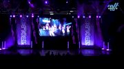 Energizers - Run For The Roses [2025 Senior - Kick Day 1] 2025 The Dance MAJORS