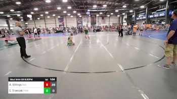 138 lbs Rr Rnd 2 - Aidan Gillings, Ragin Raisins Catawba vs Cole Trzeciak, Pursuit Wrestling Academy - White