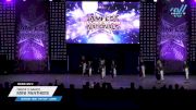 Fierce X Dance - Mini Panthers [2025 Mini - Hip Hop - Large Day 2] 2025 JAMfest Dance Super Nationals