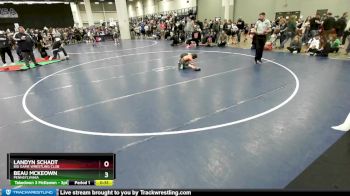 56 lbs Semifinal - Beau McKeown, Pennsylvania vs Landyn Schadt, Big Game Wrestling Club