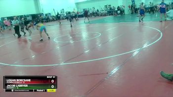 113 lbs Round 6 (16 Team) - Logan Borcsane, Florida Pitbulls vs Jacob Labryer, Division-1