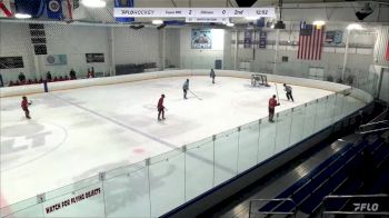 Replay: Home - 2024 Maryland vs Hitmen U15 | Jan 7 @ 9 AM