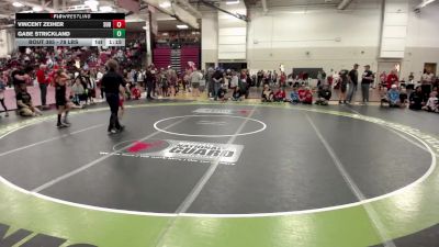 78 lbs Cons. Semis - Gabe Strickland vs Vincent Zeiher, Super D