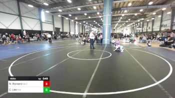 46 lbs Quarterfinal - Nayelli Romero, Salem Elite vs Carson Lee, Run To Danger