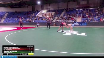 165 lbs Semifinal - Tyler Wagener, Augustana (SD) vs Anthony Herrera, St. Cloud State