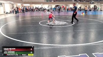 88 lbs Semis (4 Team) - Levi Werner, Chaska/Chanhassen vs Colin Nelson, TMBWWG