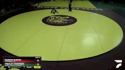 102 lbs Quarterfinals (8 Team) - Presley Havemeier, Dassel-Cokato-Litchfield vs Maddox Burvee, Centennial