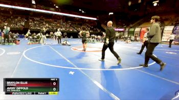 190 Class 2 lbs Champ. Round 1 - Braylon Ellis, Savannah vs Avery Dippold, Ste. Genevieve