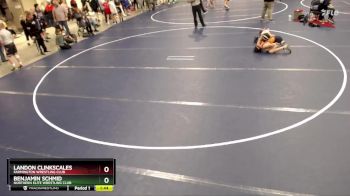 87 lbs Cons. Round 3 - Benjamin Schmid, Northern Elite Wrestling Club vs Landon Clinkscales, Farmington Wrestling Club