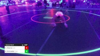 109 lbs Consi Of 16 #1 - Hailey Abarca, Casper WC vs Brailyn Schroeder, Standfast