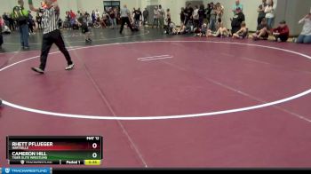 90 lbs Quarterfinal - Cameron Hill, Tiger Elite Wrestling vs Rhett Pflueger, Hartselle