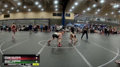 100 lbs Round 1 (4 Team) - Ethan Halstead, Warhawks Wrestling vs Brady Zabriskie, Richmond WC