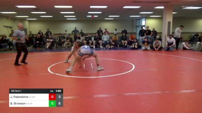 113 lbs Rr Rnd 1 - Jaden Palombine, Bethel Park HS vs Brody Bronson, All American HS