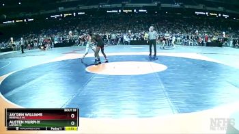 D1-157 lbs Champ. Round 1 - Jay`Den Williams, Roseville HS vs Austen Murphy, Lapeer HS