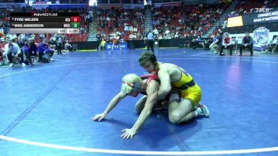 3A-165 lbs Champ. Round 2 - Wes Anderson, Waukee vs Tyde Nelsen, Dallas Center-Grimes