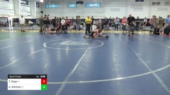 96-S lbs Semifinal - Tyler Sage, MI vs Alexander Whitted, TN