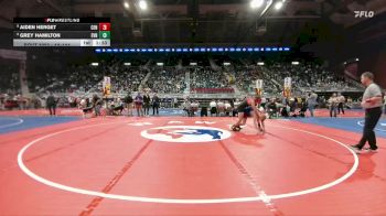 4A-144 lbs Champ. Round 1 - Aiden Herget, Central vs Grey Hamilton, Evanston