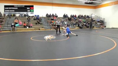 113 lbs Quarterfinal - Liam Rippenger, Wahlert, Dubuque vs Aiden Davis, Cedar Rapids Washington