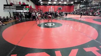 150 lbs Champ. Round 1 - Andrew Pellicci, New Lenox (PROVIDENCE CATHOLIC) vs James Hemmila, Wilmette (LOYOLA)