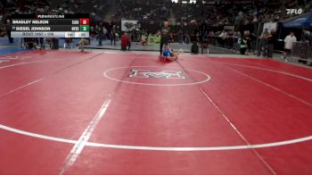106 lbs Cons. Round 7 - Bradley Nelson, Elko vs Diesel Johnson, Nyssa