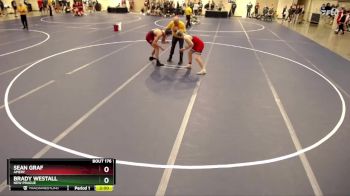 172 Championship Bracket Champ. Round 2 - Sean Graf, Amery vs Brady Westall, New Prague
