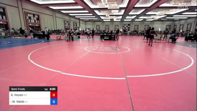 100 lbs Semifinal - Austin Hayes, Md vs William Webb, Nj