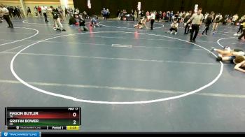 138 lbs Cons. Round 4 - Griffin Bower, CO vs Mason Butler, TN