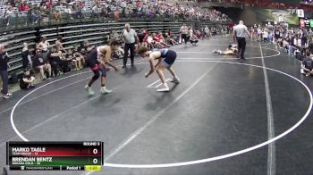 140 lbs Round 3 (6 Team) - Brendan Bentz, Indiana Gold vs Marko Tagle, Team Rogue