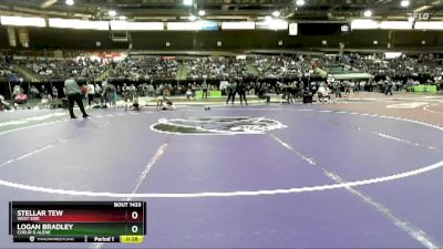 144 lbs Cons. Round 6 - Logan Bradley, Coeur D Alene vs Stellar Tew, West Side