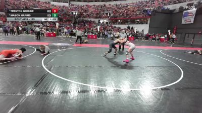 175 lbs Cons. Round 2 - Trenton Gohlke, Wautoma Super Stingers vs Mason Harris, Oak Creek Attack