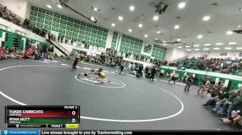 120 lbs Semifinal - Ryan Nutt, Pinedale vs Tuker Carricato, Saratoga