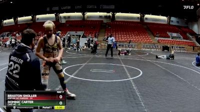 100 lbs Finals (2 Team) - Braxton Sholler, Empyre WC Maroon vs Dominic Carter, Lake WC