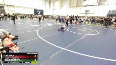 74 lbs Cons. Round 5 - Owen Anderson, Grindhouse Wrestling Club vs Cael Daly, Owego Youth Wrestling