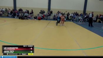 120 lbs Cons. Round 3 - Aspen Tritz, Wisconsin Rapids vs Jay Hammarsten, PINnacle Wrestling