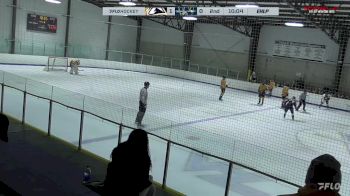 Replay: Home - 2024 New Hampshire vs Valley | Jan 17 @ 11 AM