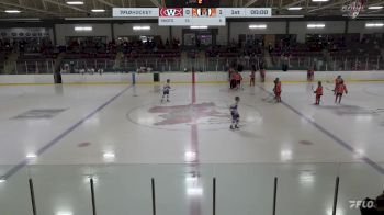 Replay: Home - 2024 Welland vs Fort Erie | Feb 24 @ 6 PM