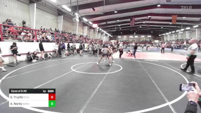 113 lbs Consi Of 8 #2 - Gabriel Trujillo, Stout Wrestling Academy vs Alex Norby, Warhammer6