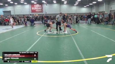 78 lbs Cons. Round 2 - Walker Gibbons, Powhatan Youth Wrestling Club vs Henry Fedalen, CYA