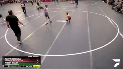 92 lbs Cons. Round 2 - Aaron Bailey, Eagan Wrestling Club vs Austin Mitchell, Farmington Wrestling Club