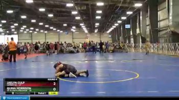 120 lbs Round 4 (6 Team) - Jaelyn Culp, Combat WC vs Quinn Morrison, VA Alchemy/Predator
