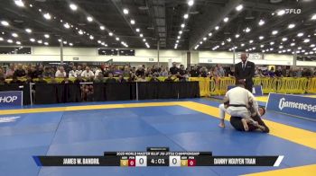 Danny Nguyen Tran vs James W. Bandril 2025 World Master IBJJF Jiu-Jitsu Championship