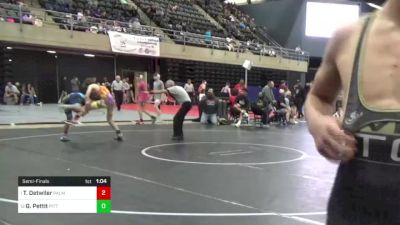 110 lbs Semifinal - Tyler Detwiler, Palmyra, PA vs Greyson Pettit, Pittsgrove, NJ