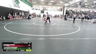 60 lbs 3rd Place Match - Cayden Petersen, Lions Wrestling Academy vs Chasen Burke, STL Warrior